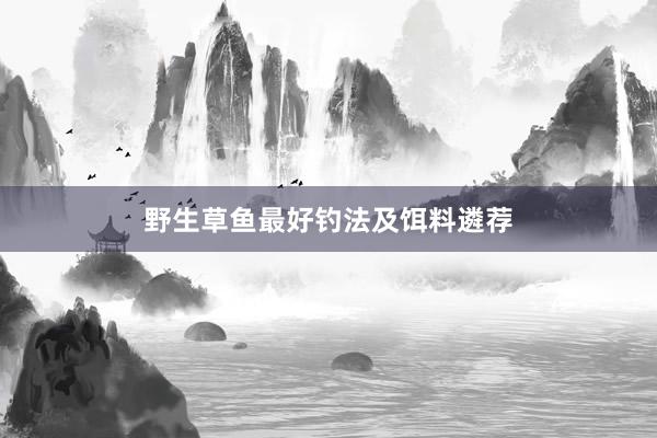 野生草鱼最好钓法及饵料遴荐