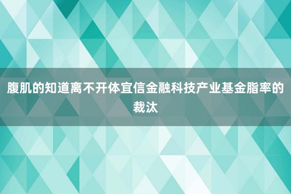 腹肌的知道离不开体宜信金融科技产业基金脂率的裁汰